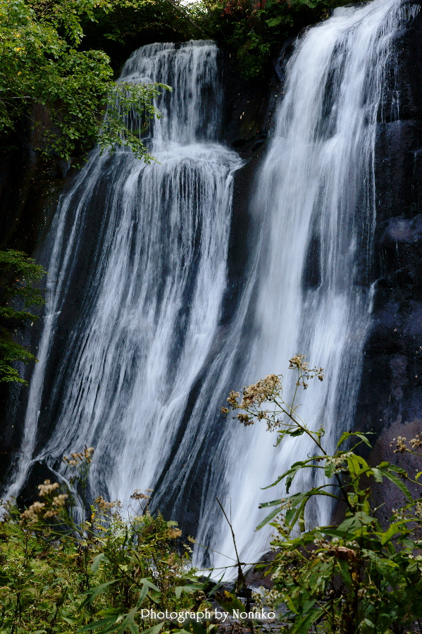 c0106977_222404.jpg