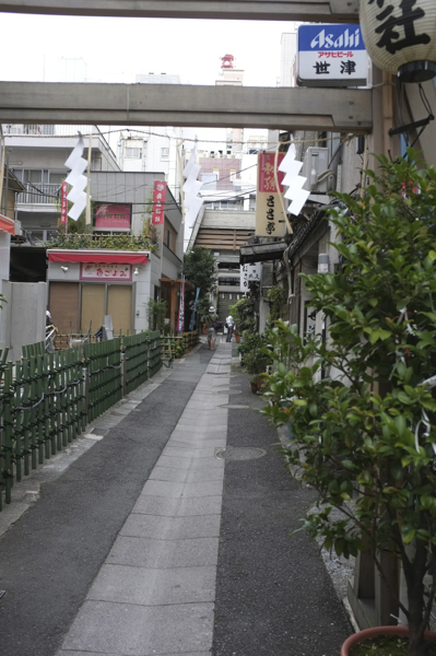 d0045179_22331952.jpg