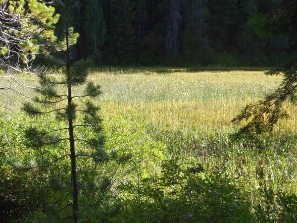 f0223480_20584331.jpg