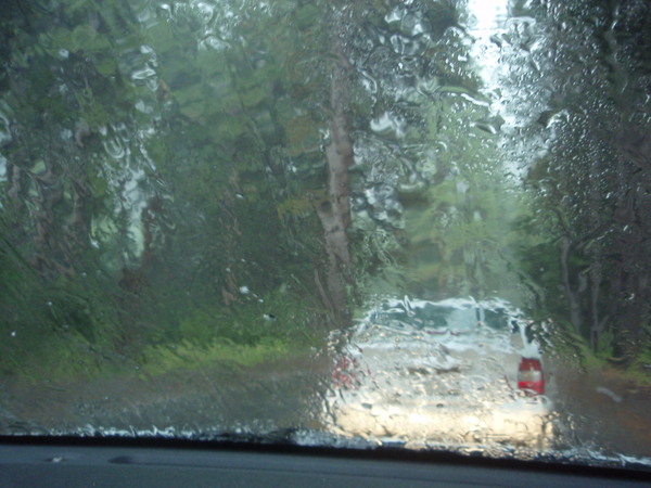 f0223480_228984.jpg