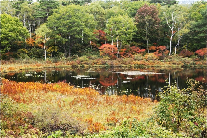 e0027083_22104458.jpg
