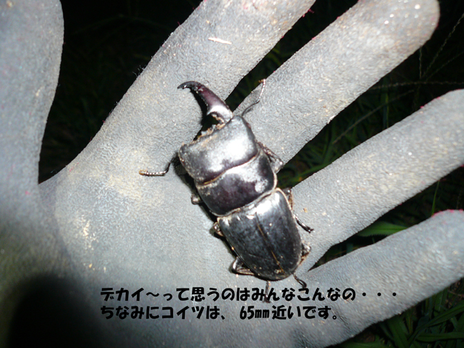 f0183484_993050.jpg