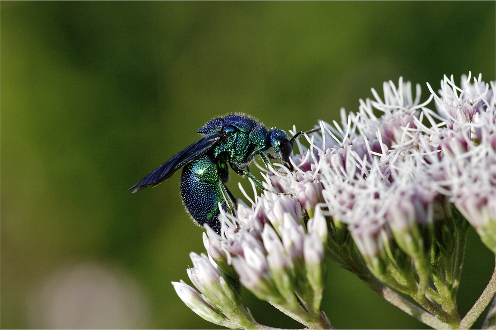 d0209988_18424829.jpg
