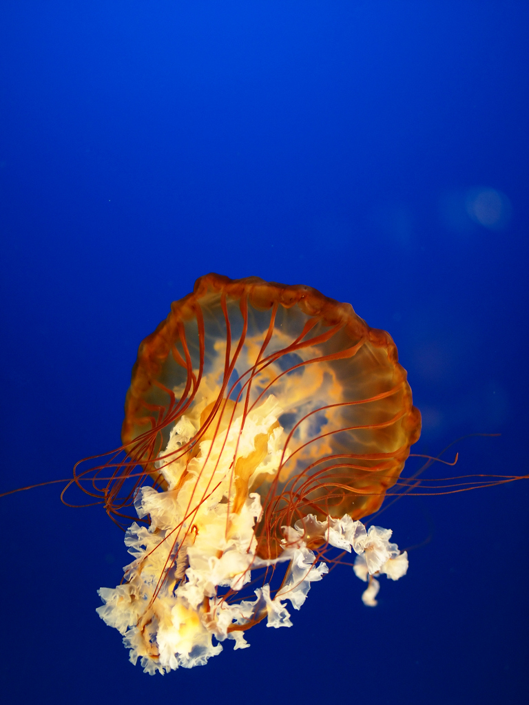 a0133692_22142352.jpg