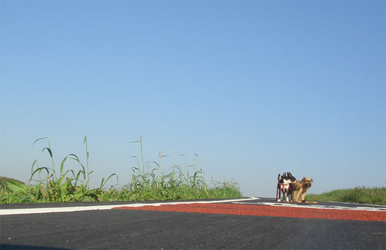 c0094999_19451958.jpg