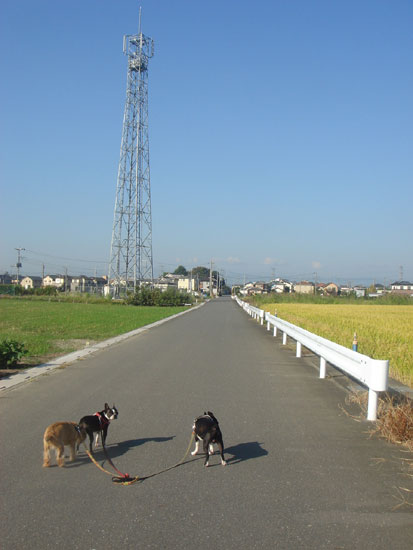 c0094999_19452040.jpg