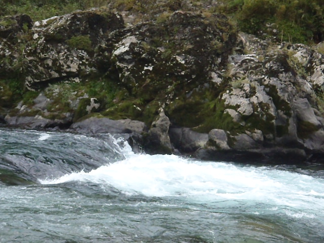 a0121502_15273169.jpg