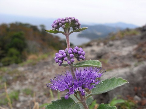 f0187402_2248294.jpg