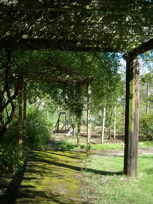 d0166303_21584536.jpg