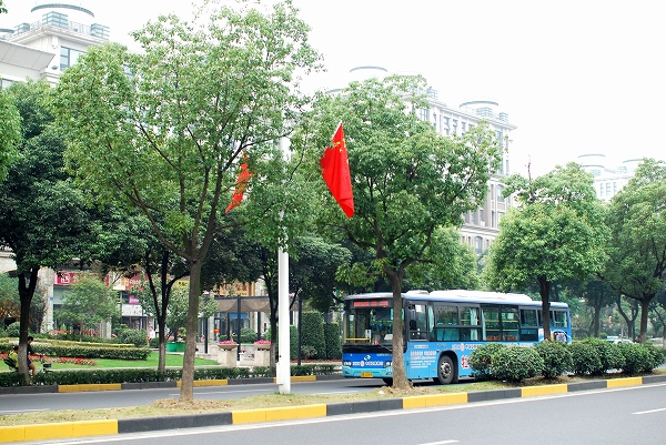 d0089706_1744741.jpg
