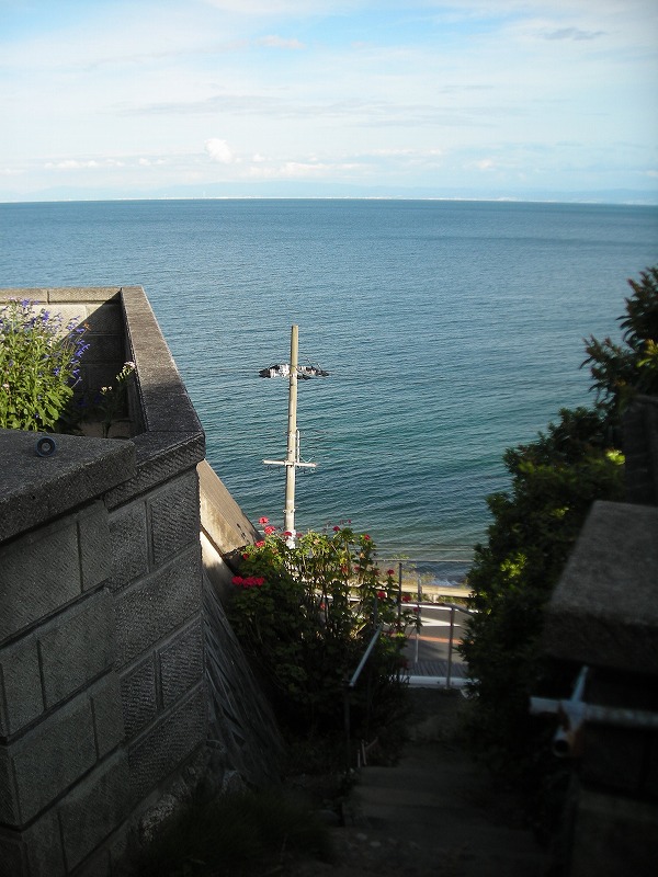 a0142107_1822995.jpg
