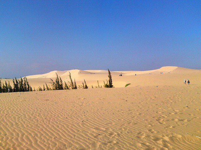 a0000014_12162318.jpg