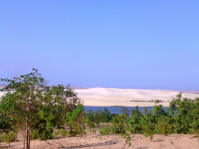 a0000014_12162393.jpg