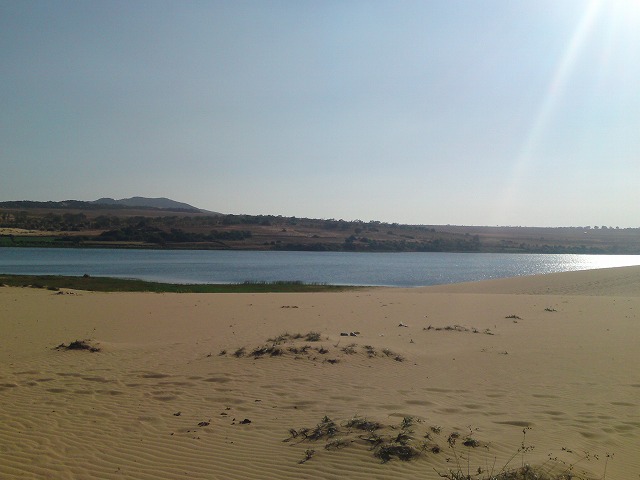 a0000014_12162426.jpg