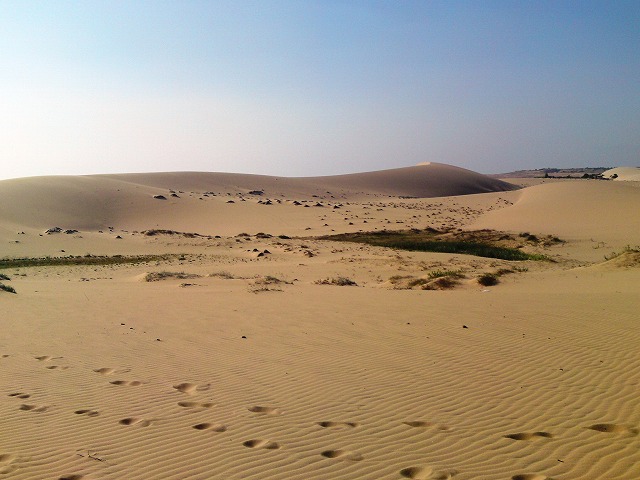 a0000014_12162476.jpg