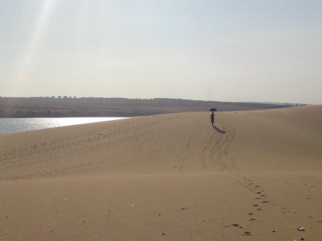 a0000014_12162545.jpg