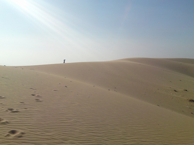 a0000014_12162653.jpg
