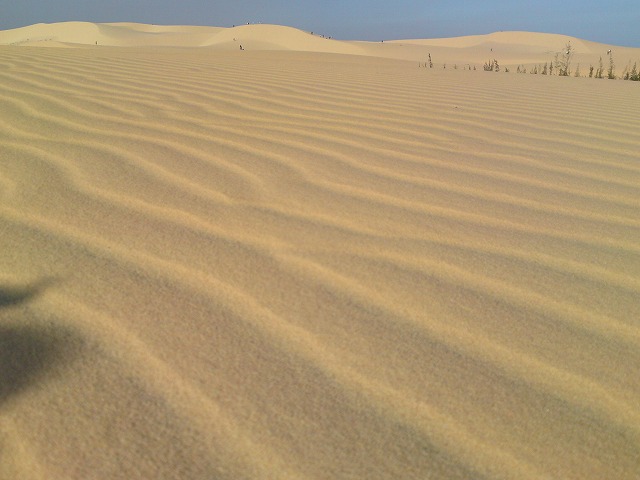 a0000014_12162735.jpg