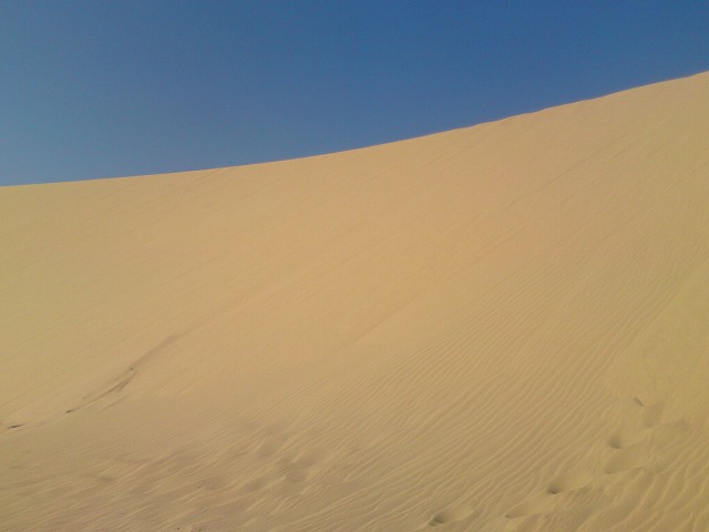 a0000014_12162880.jpg