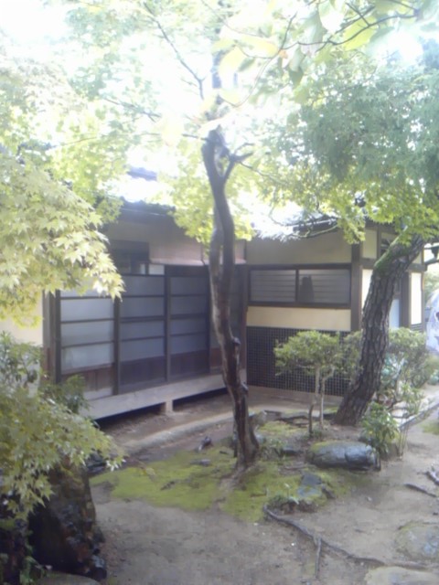 b0094717_17182820.jpg