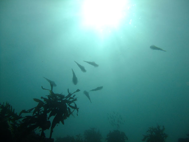 e0189021_2210024.jpg