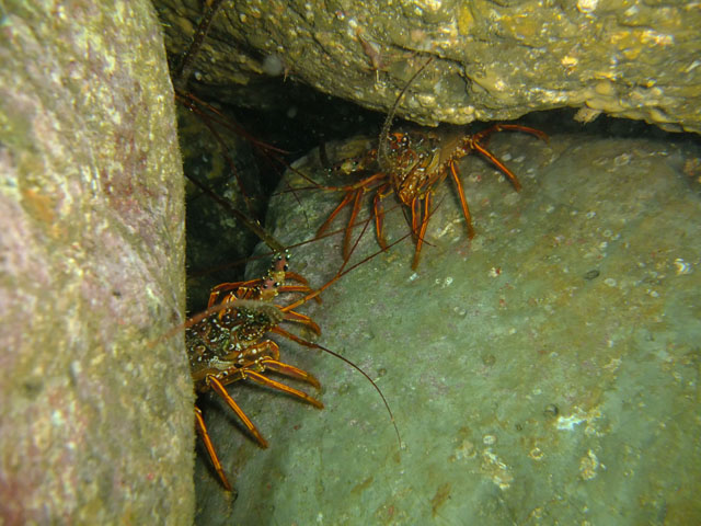 e0189021_2213421.jpg