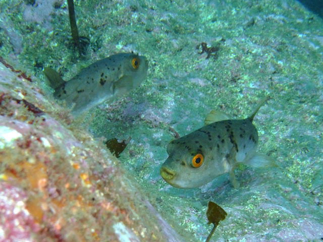 e0189021_22142568.jpg