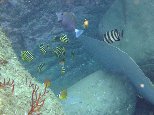 e0189021_2272555.jpg