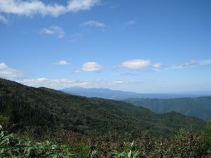 f0158625_15392715.jpg