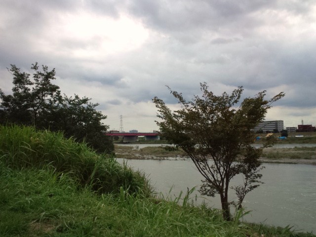 e0016828_844049.jpg