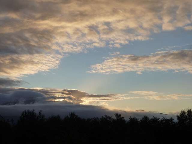 a0024829_9373160.jpg