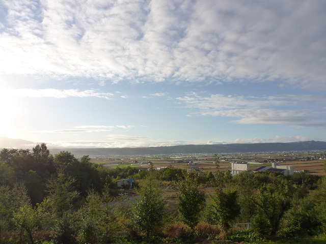a0024829_939224.jpg