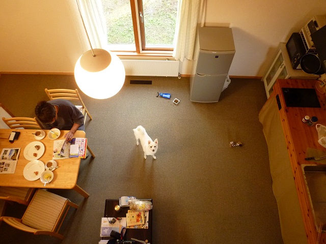 a0024829_944975.jpg