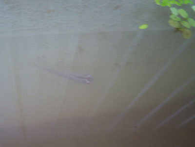 e0097534_20225217.jpg