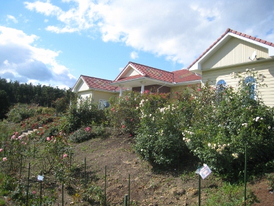c0195439_1202947.jpg