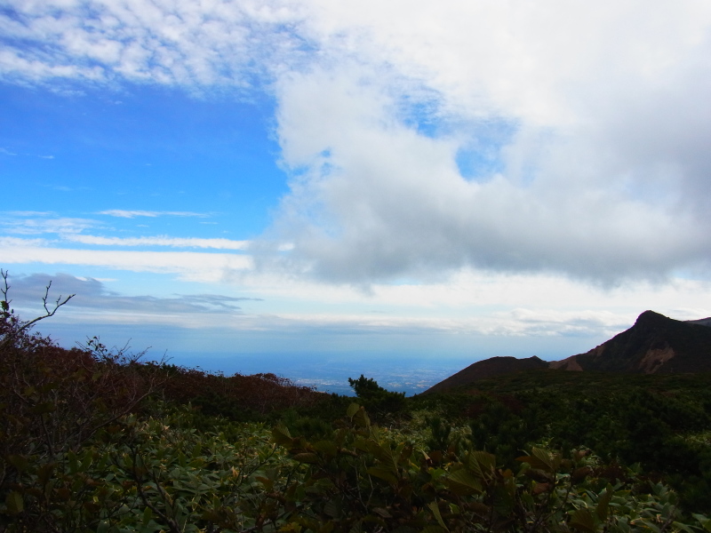 b0190242_10124517.jpg