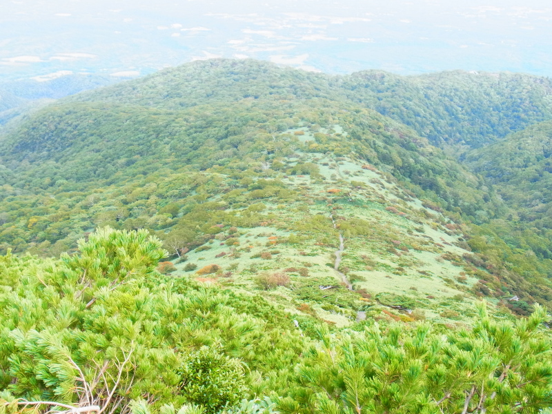 b0190242_10142240.jpg