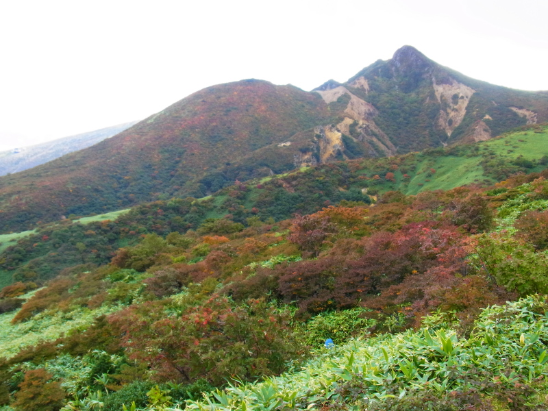 b0190242_10151110.jpg