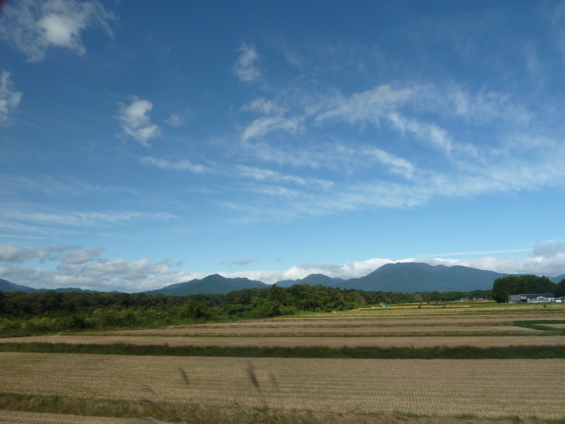 b0190242_9474089.jpg