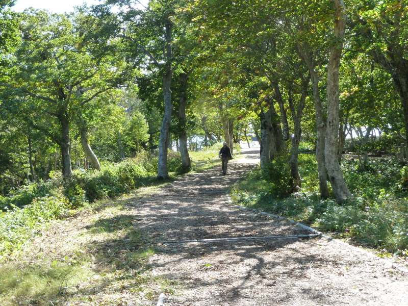 b0190242_9585992.jpg