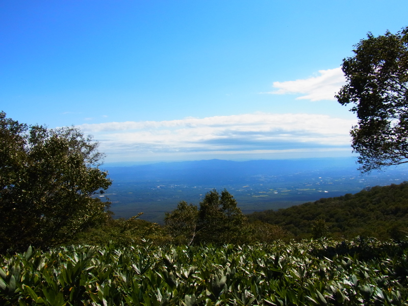 b0190242_9593659.jpg