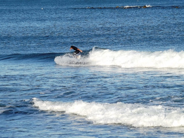 a0134746_1771995.jpg