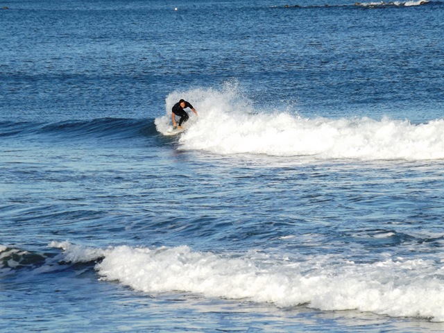 a0134746_177258.jpg