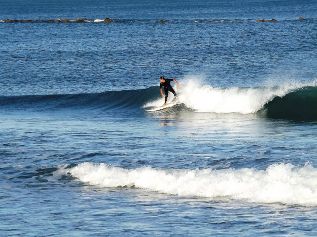 a0134746_177692.jpg