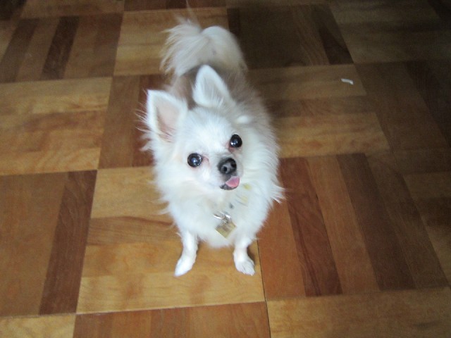 b0072650_1345442.jpg