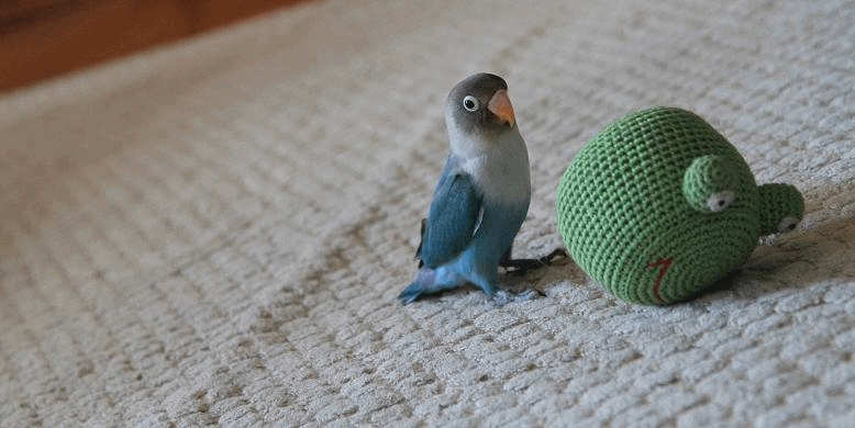 c0145250_1638638.gif