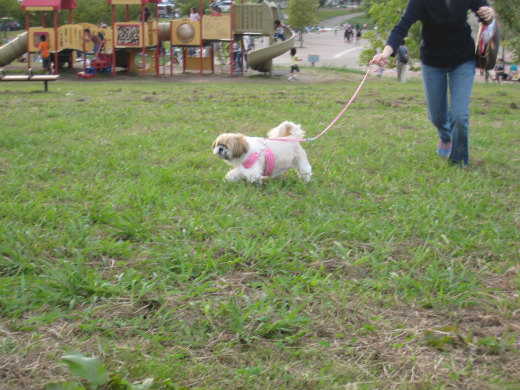 c0043751_22153.jpg
