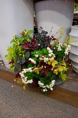 e0025655_553224.jpg
