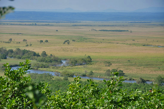 e0122156_2351392.jpg