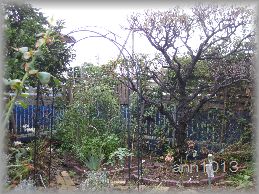 e0232963_9322287.jpg